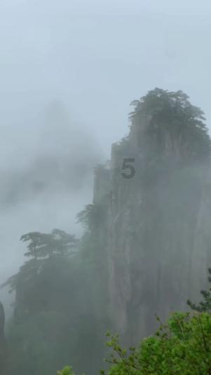 沉睡的骑士